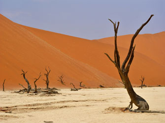 Μέσα από το φακό της Στέλλας Παπαγιάννη και του Χρήστου Θωμαΐδη