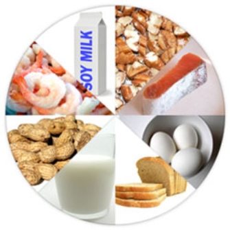 Τροφικές αλλεργίες και Έντομα