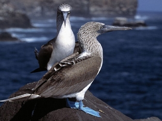 Το ΣΚΑΪ ταξιδεύει στα νησιά «Γκαλαμπάγκος»