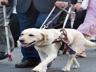 «Ζωογραφία», στην ΕΤ1