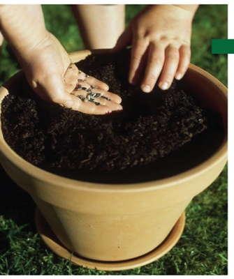 Στην αυλή των θαυμάτων…