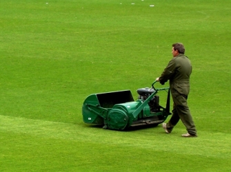 Κήπος: Επανασπορά Γκαζόν