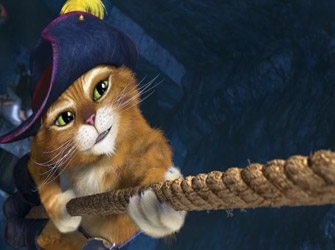 «Γάτος Σπιρουνάτος», 20/7 Novacinema4