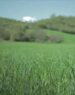 Greece: Days οf Change