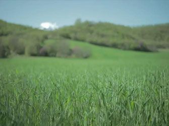 Τρεις προσωπικές ιστορίες δείχνουν την έξοδο από την κρίση στο Cinedoc