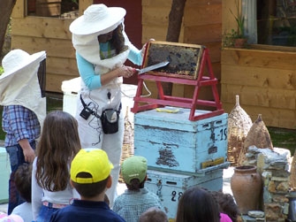 Τρύγος Μελίου