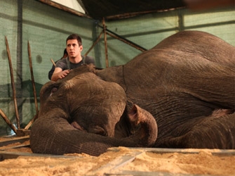 J.A.C.E. 1-9 Ιανουαρίου στο ΙΜΚ