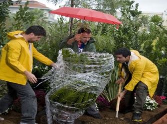 Μετακόμιση φυτών και φυτά που αντέχουν στο κρύο
