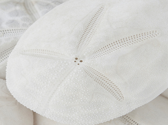 «SUMMER 2014»: Έκθεση καλοκαιρινών φωτογραφιών