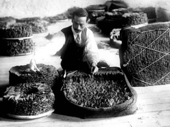 Έκθεση καπνού στο Μουσείο Μπενάκη