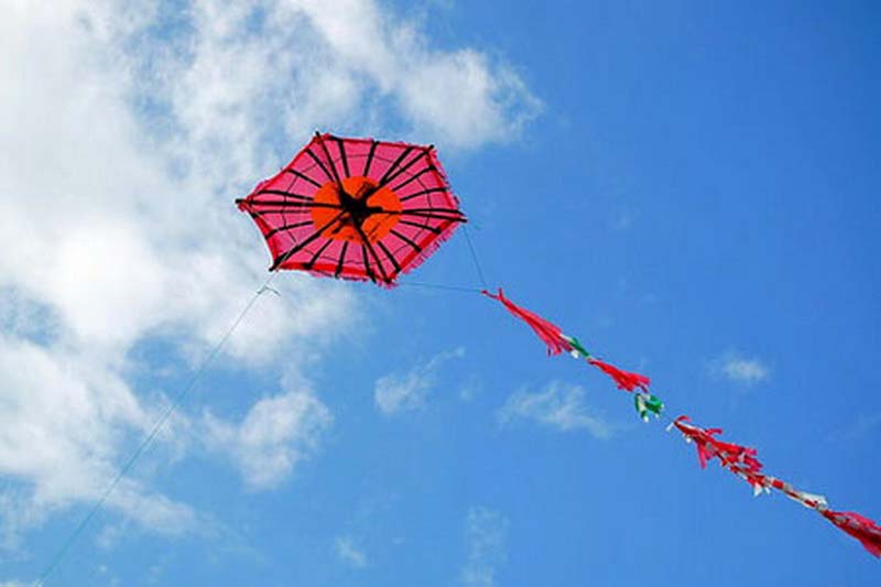 Αναζωογονητικό τριήμερο Καθαράς Δευτέρας στο ελατόδασος της Πάρνηθας