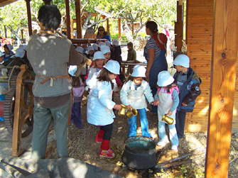 Βιωματική δραστηριότητα με θέμα: μάζεμα ελιάς και εξαγωγή ελαιόλαδου