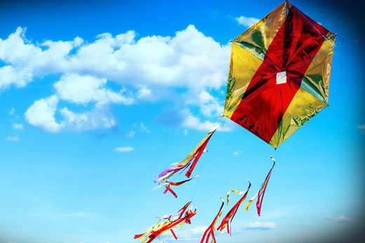 Κούλουμα στο ελατόδασος της Πάρνηθας