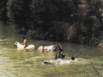 Δεκαπενταύγουστος στην ΕΡΤ