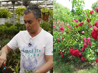 «Κηπουρέματα στον ΣΚΑΙ