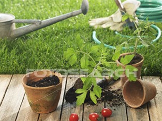 «Κηπουρέματα»: Νέα εκπομπή στον ΣΚΑΪ