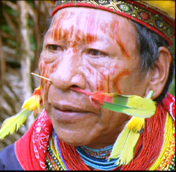 Παγκόσμια Ημέρα Ιθαγενών: Το Αίμα του Κουάν Κουάν