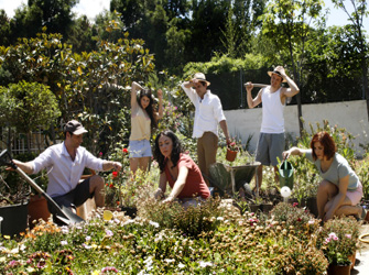 «Τα Κύματα» το ανατρεπτικό μυθιστόρημα της Βιρτζίνια Γουλφ