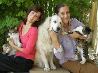 «Παρά Τρίχα»