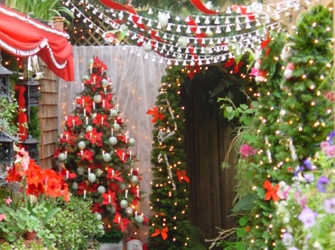 Megacinema Γιορτές