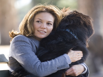 «Ζητείται Φιλόζωος», 7/7 Star