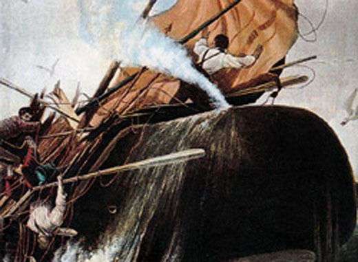 «Μόμπι Ντικ»: H φάλαινα και η αδάμαστη οργή