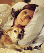 Χρονιά του Σκύλου, Η