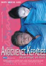 Ανθισμένες Κερασιές