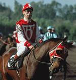 Μεγάλο Φαβορί, Το