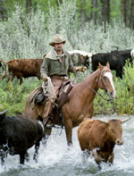 Αγραφος Νόμος της Δύσης, Ο