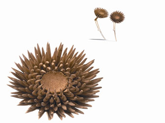 Δημήτρης Νικολαΐδης – Με αφορμή τα κτερίσματα