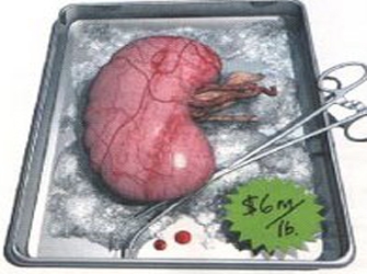 «Εμπόριο οργάνων» στο Doc on Air