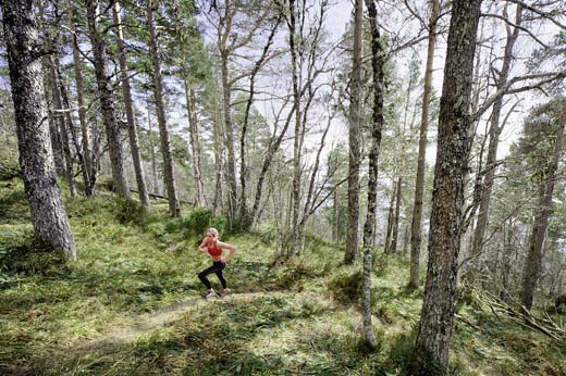 Ορεινός αγώνας τρεξίματος στον Εθνικό Δρυμό της Πάρνηθας
