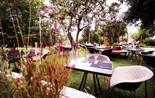 O Ηλίας Μαμαλάκης στο Fuga