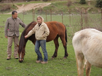 Πρωταγωνιστές: Οδοιπορικό στα χωριά της Ηπείρου 28/7 MEGA