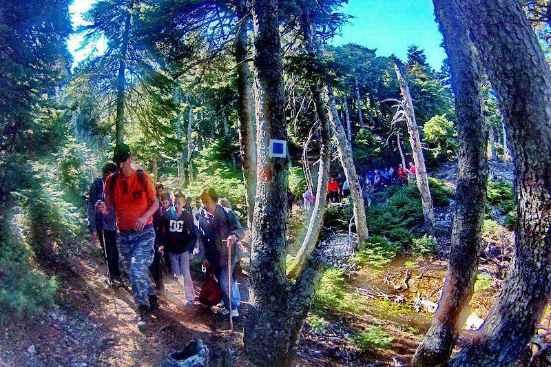 Πεζοπορική βόλτα για έμπειρους στην Πάρνηθα