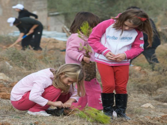 Μεγάλη δεντροφύτευση στη Ρόδο