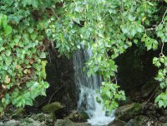 Διαβάζοντας στ’ αστέρια