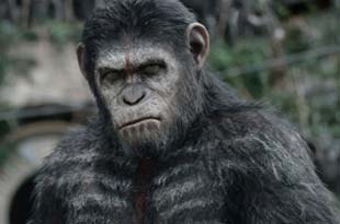 Οι νέες ταινίες που θα δούμε στη μεγάλη οθόνη αυτή την εβδομάδα