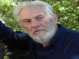 Γιώργος Μιχαλακόπουλος