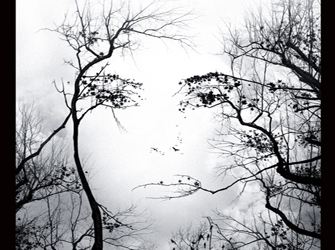 Η «Εμμονή» στο Star