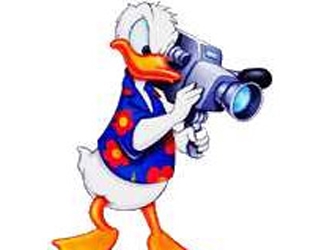 Παπιοπαρέα και Γουίνι το Αρκουδάκι, στο Disney Festival