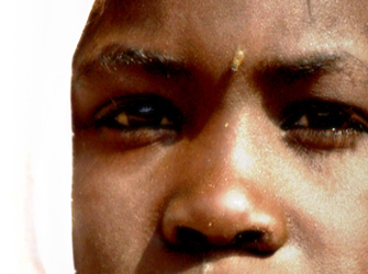 To «Μυστικό της Αυγής» βραβεύτηκε!