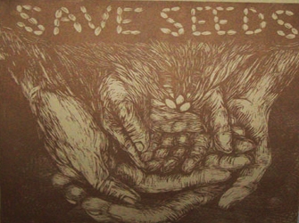 Δίκτυο «Πελίτι»: Διάθεση σπόρων δωρεάν