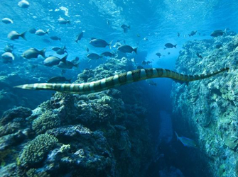 Το δεύτερο επεισόδιο του “Life” στο ΣΚΑΪ