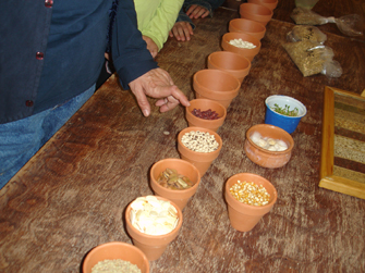 Δωρεάν εκπαιδευτικό πρόγραμμα: Σπόρος, τροφή και πήλινα σκεύη της κουζίνας