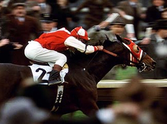 «Το Μεγάλο Φαβορί», στον Alpha