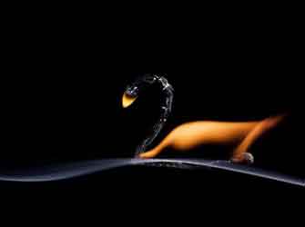 Το σπίρτο στην τέχνη