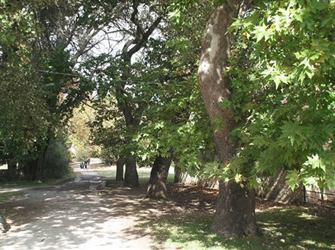 Τα ιδανικά μέρη για πικ νικ