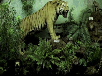 Ελληνικός κινηματογράφος στο 64ο Φεστιβάλ Βερολίνου